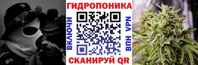 Бошки Шишки AK-47 Алексин